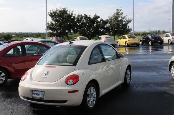 Sunday At The Car Lot(s) - Georgetown, Texas