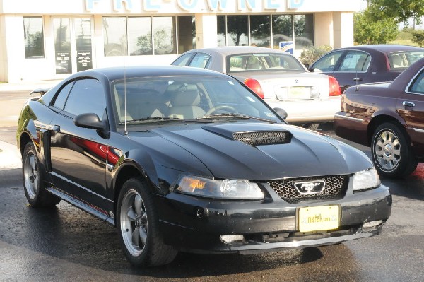 Sunday At The Car Lot(s) - Georgetown, Texas