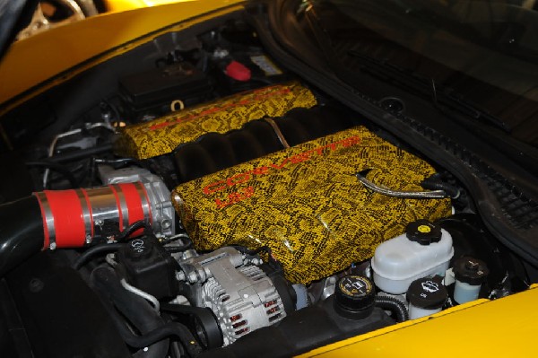 kingsnake racing corvette c6.k installation of custom snakeskin painted LS3